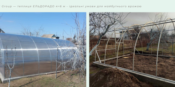 Теплиця ЕЛЬДОРАДО 4×6 з полікарбонату 6 мм — ідеальне рішення для врожаю