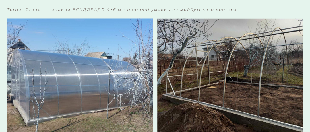 Теплиця ЕЛЬДОРАДО 4×6 з полікарбонату 6 мм — ідеальне рішення для врожаю